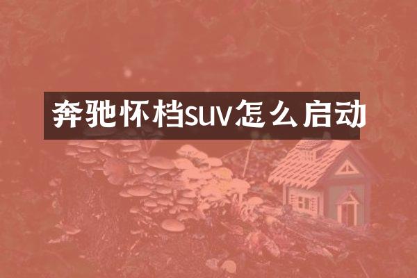 奔驰怀档suv怎么启动