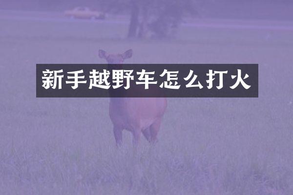 新手越野车怎么打火