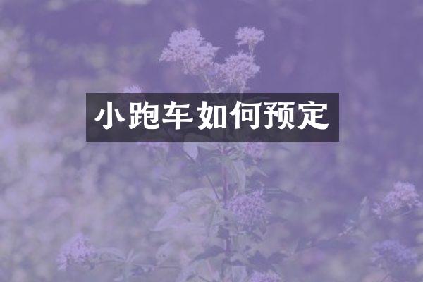 小跑车如何预定