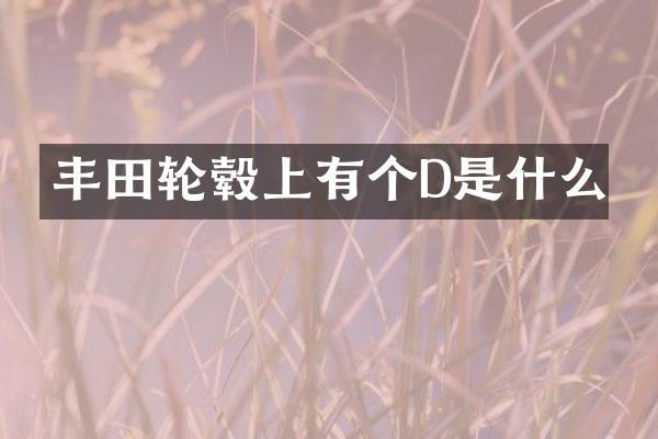 丰田轮毂上有个D是什么