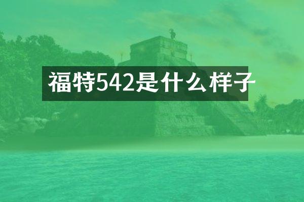 福特542是什么样子
