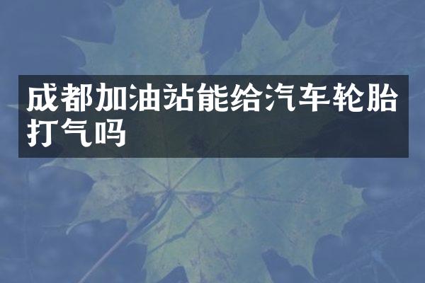 成都加油站能给汽车轮胎打气吗