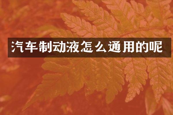 汽车制动液怎么通用的呢