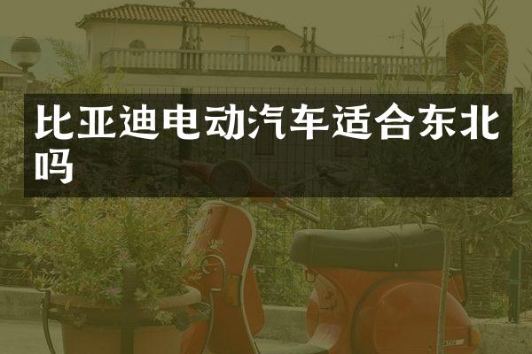 比亚迪电动汽车适合东北吗
