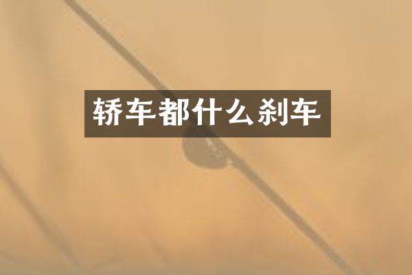 轿车都什么刹车