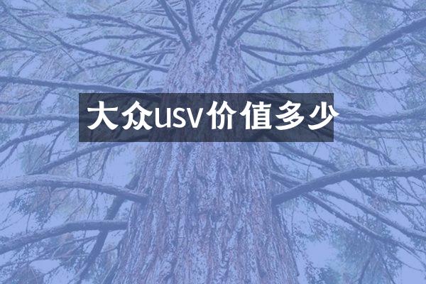 大众usv价值多少