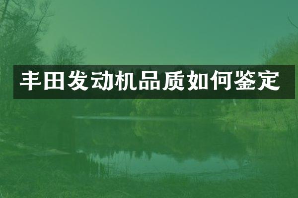 丰田发动机品质如何鉴定