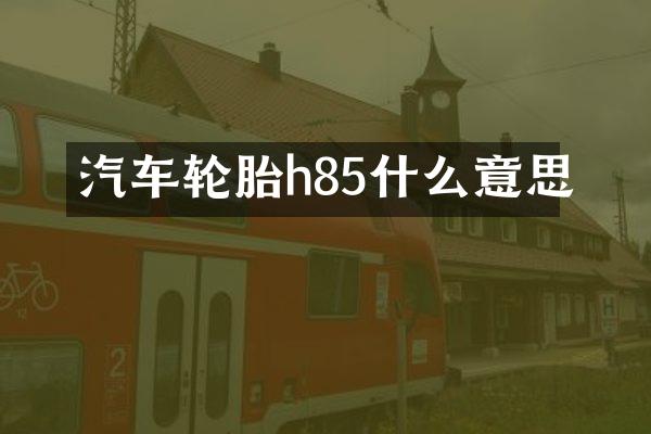 汽车轮胎h85什么意思