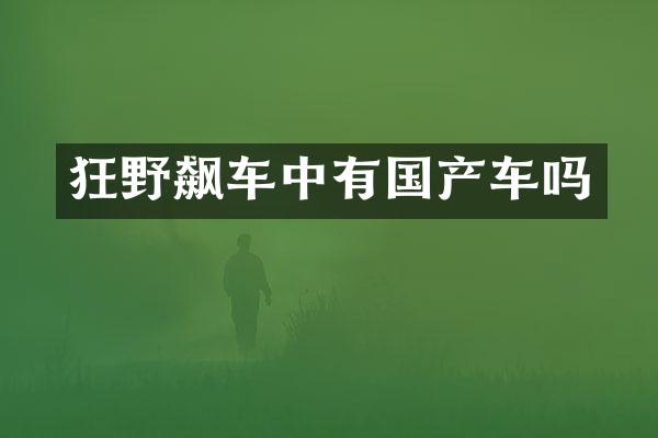 狂野飙车中有国产车吗