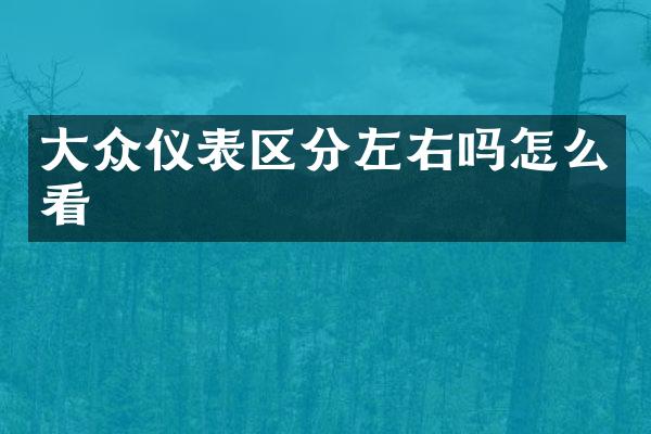大众仪表区分左右吗怎么看