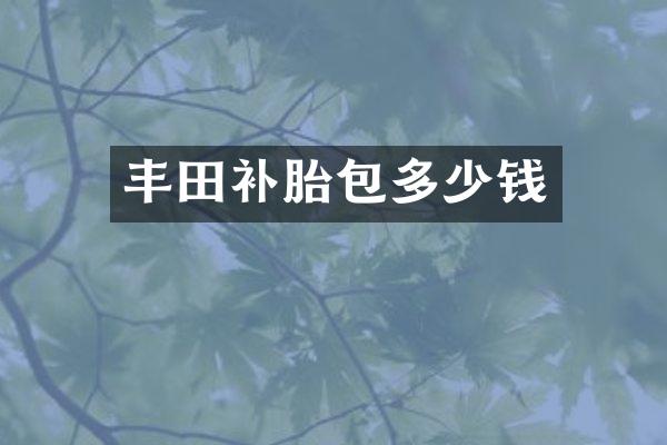 丰田补胎包多少钱