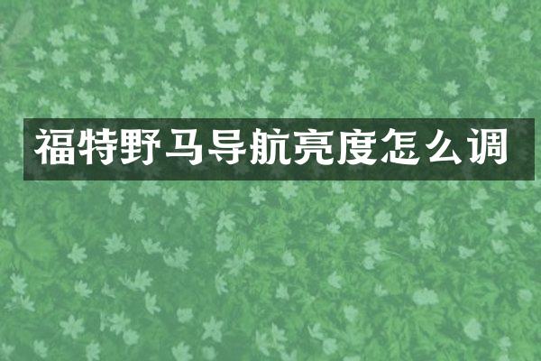 福特野马导航亮度怎么调