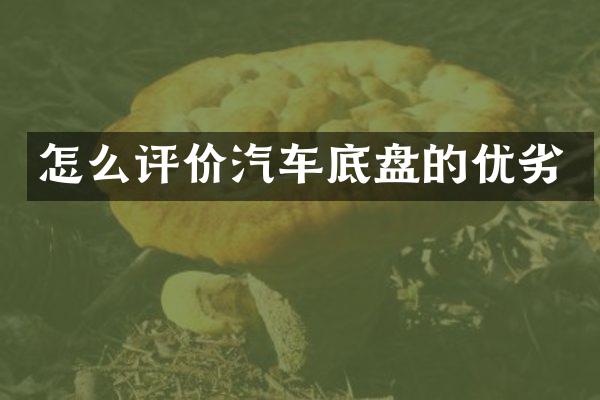 怎么评价汽车底盘的优劣