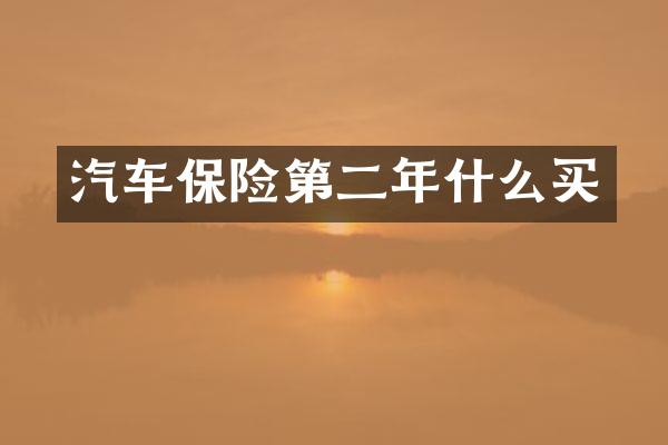 汽车保险第二年什么买