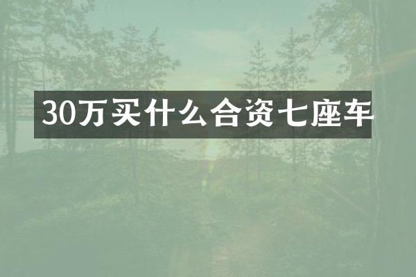30万合资七座车