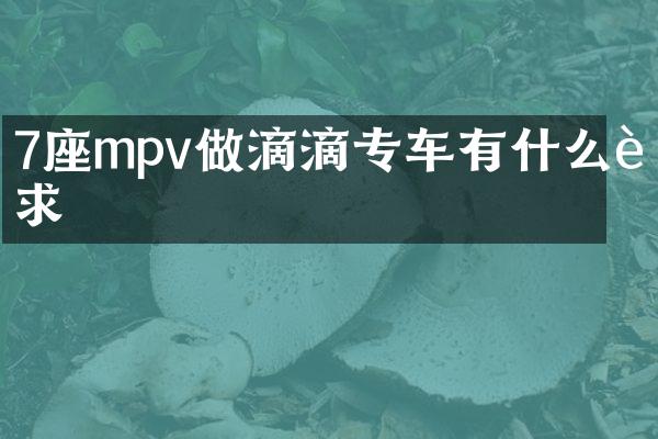7座mpv做滴滴专车有什么要求