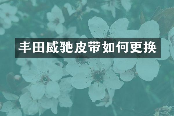 丰田威驰皮带如何更换