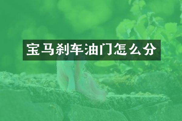宝马刹车油门怎么分
