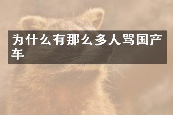 为什么有那么多人骂国产车