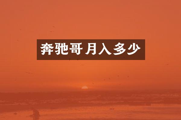 奔驰哥月入多少