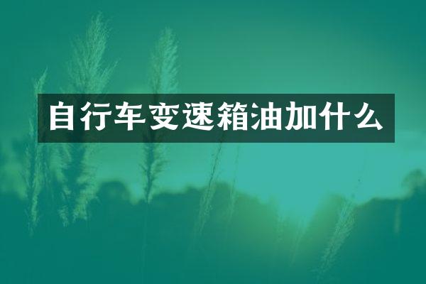 自行车变速箱油加什么