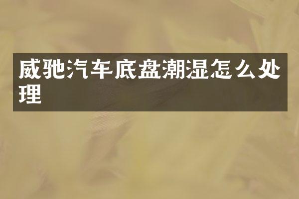 威驰汽车底盘潮湿怎么处理