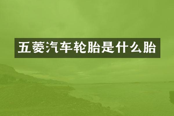 五菱汽车轮胎是什么胎