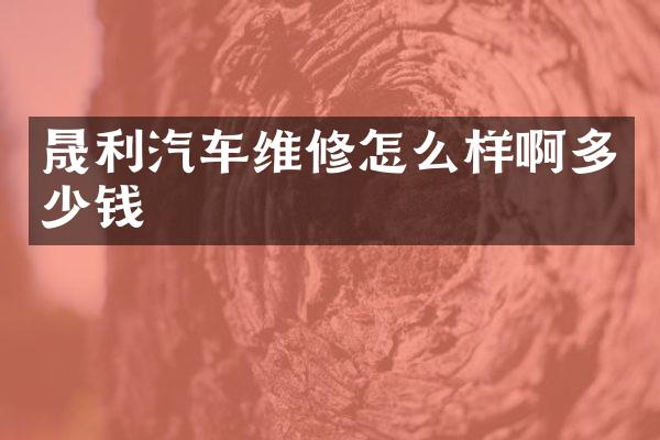 晟利汽车维修怎么样啊多少钱