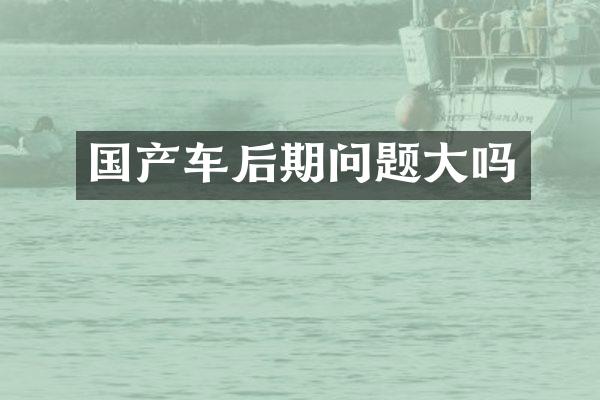 国产车后期问题大吗