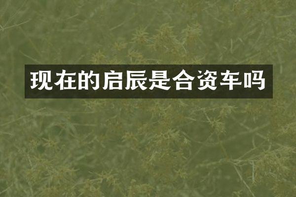 现在的启辰是合资车吗