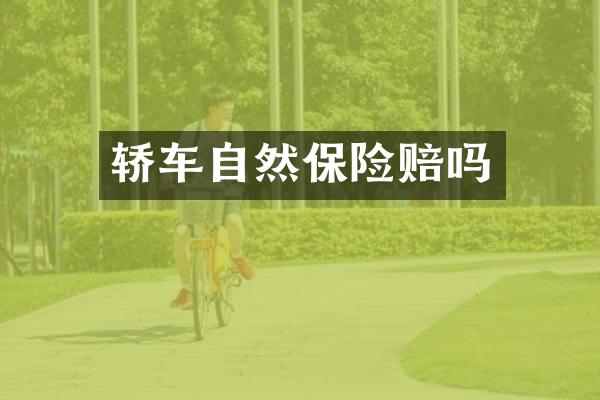 轿车自然保险赔吗