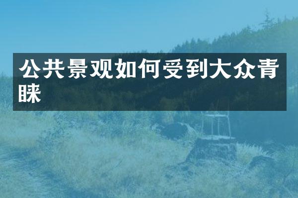 公共景观如何受到大众青睐