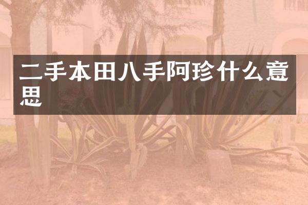 二手本田八手阿珍什么意思