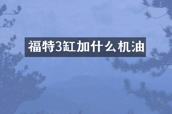 福特3缸加什么机油