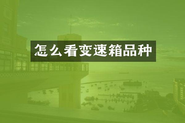 怎么看变速箱品种