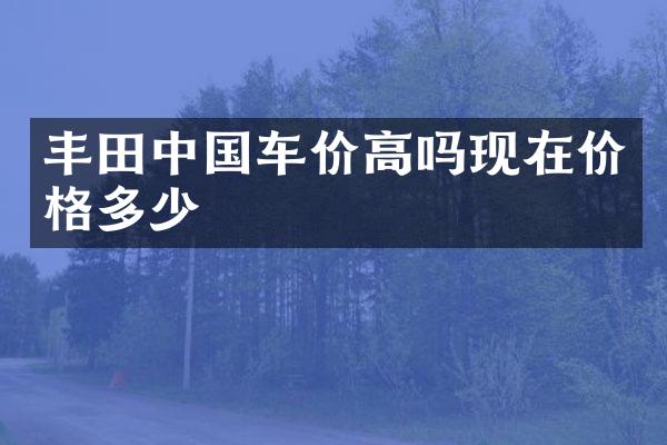 丰田中国车价高吗现在价格多少