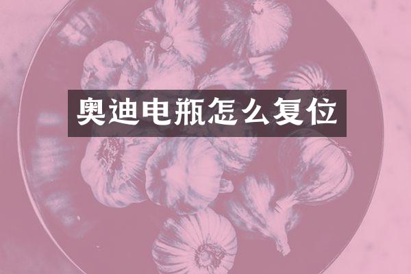 奥迪电瓶怎么复位