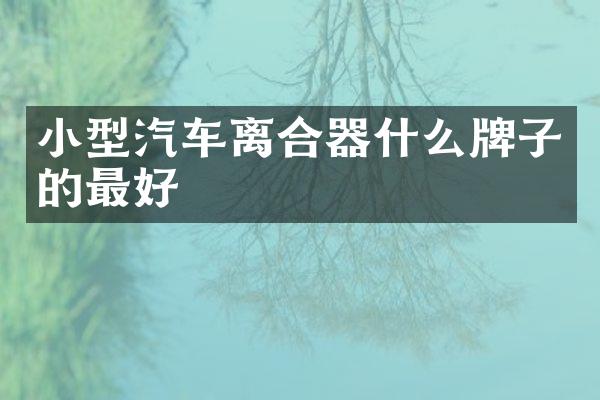 小型汽车离合器什么牌子的最好