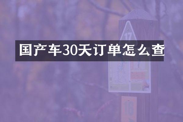 国产车30天订单怎么查