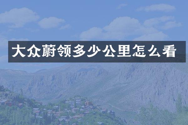 大众蔚领多少公里怎么看