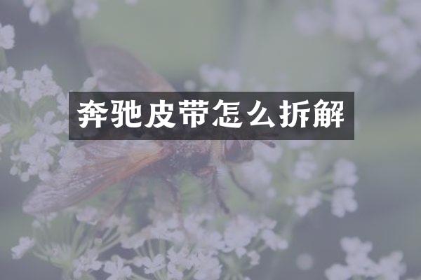 奔驰皮带怎么拆解
