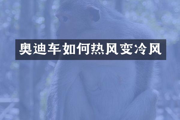 奥迪车如何热风变冷风