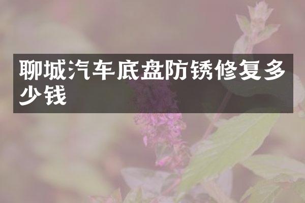 聊城汽车底盘防锈修复多少钱