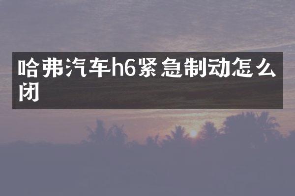 哈弗汽车h6紧急制动怎么关闭