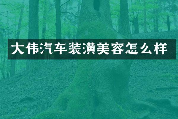 大伟汽车装潢美容怎么样