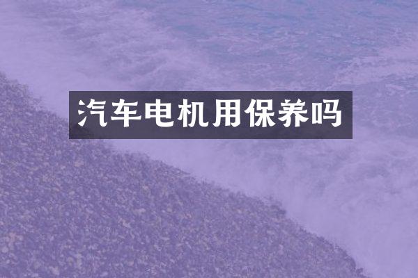 汽车电机用保养吗