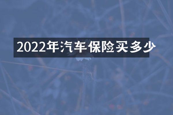 2022年汽车保险买多少