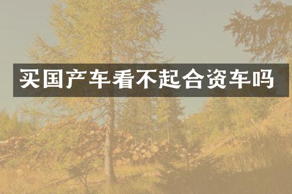 买国产车看不起合资车吗
