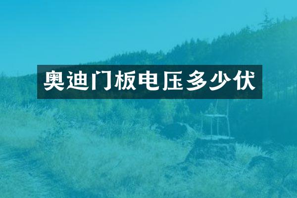奥迪门板电压多少伏