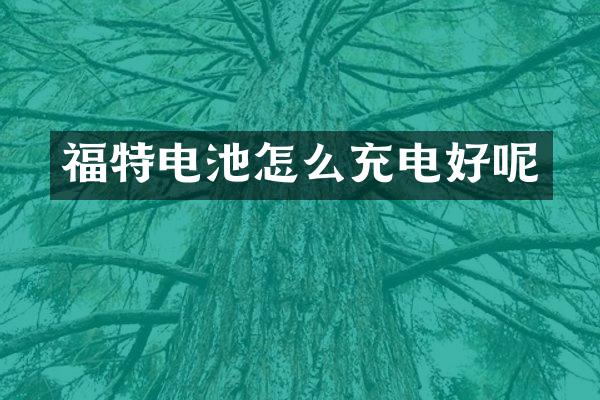 福特电池怎么充电好呢